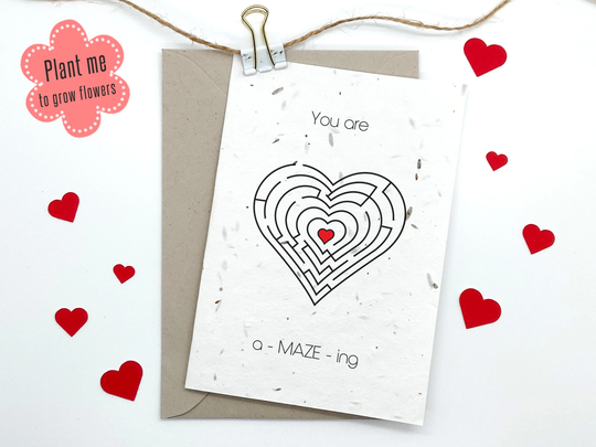 Plantable Seed Card, You Are Amazing, Love Happy Anniversary, Eco-Friendly, Biodegradable, Flowers, Unique Husband, Wife Gift