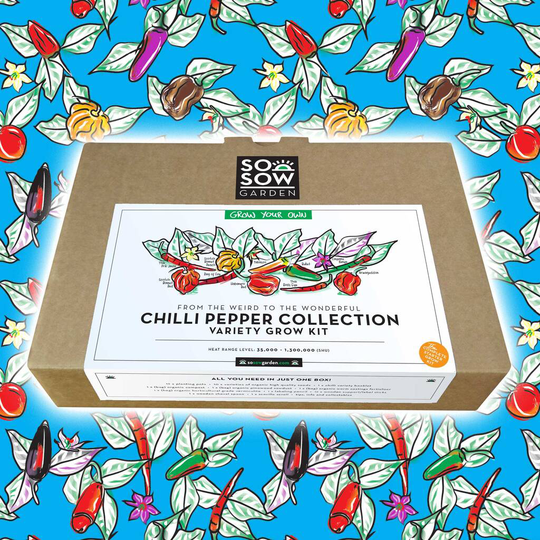Chilli Pepper Collection Grow Your Own Kit