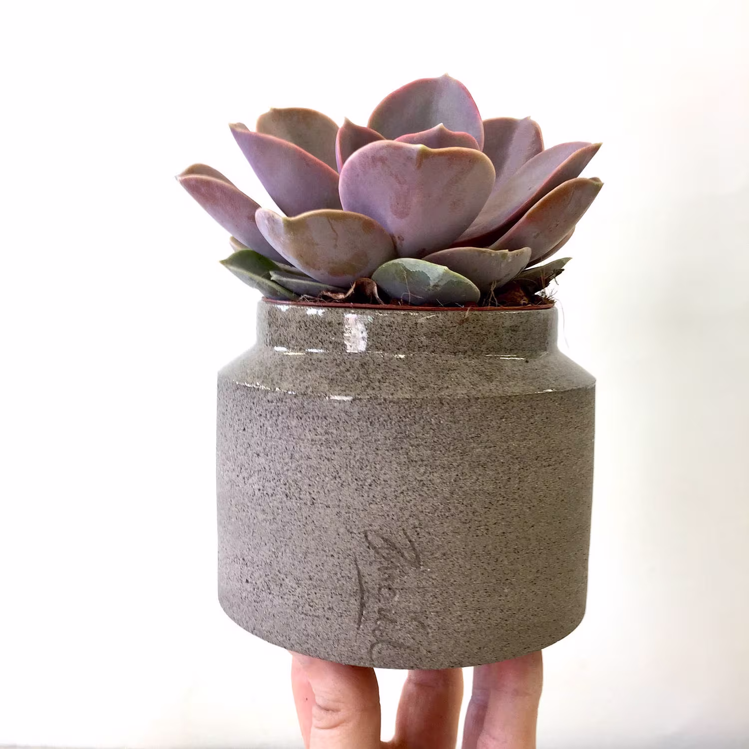 Ceramic Planter, Succulent Indoor Plant Pot, Small Decorating Gray Modern Small Pot