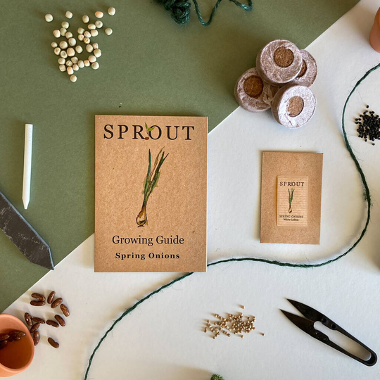 Grow Your Own Spring Onion Seeds Gift Set