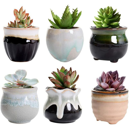 Perle Raregb - 6 Pcs Ceramic Flower Pot Mini Pot Succulents Cactus Plant Pot for Home Garden Office Decoration (6 pcs)