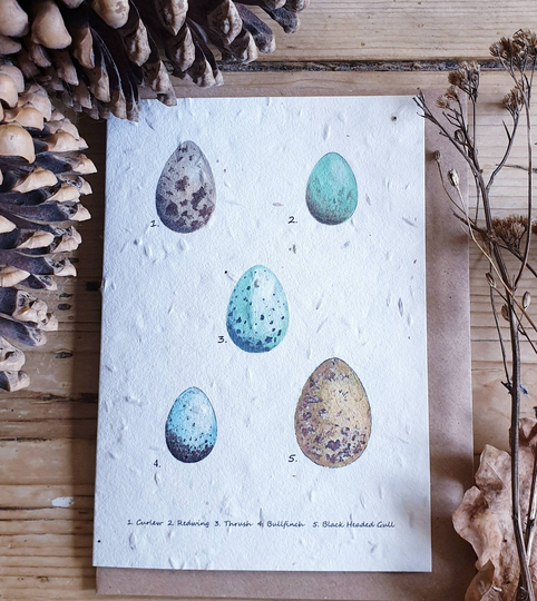 Plantable Seed Egg Card. Five Bird Eggs Painting. Original Artwork. Eco Bird Cards. Recyclable British