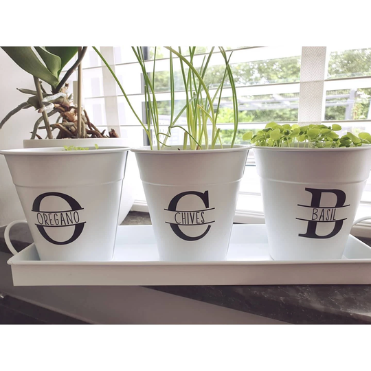 Herb Planters Pots, Indoor, Kitchen Garden