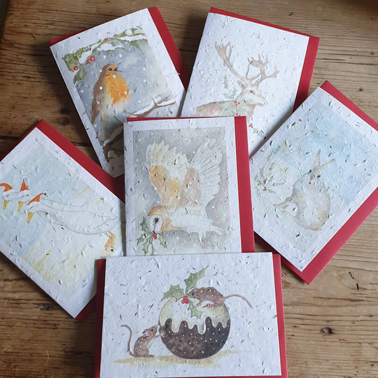 Seed Christmas Cards. Eco Recyclable Card. Robin Seed Hare Owl Mice Csrd. Runner Ducks