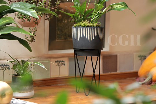 Planter Pot Cement Black With Wire Stand Sgraffito - Industrial Indoor Home Decor Sass&belle Succulent Garden Plants