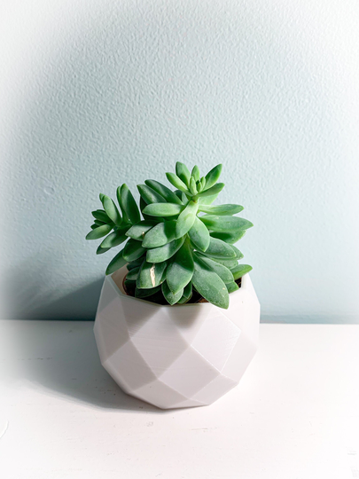Geometric 3D Printed Succulent Planter - Not Included