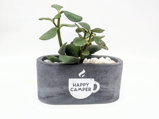Happy Camper Black Concrete Oval Succulent Planter | Trendy Flower Pot