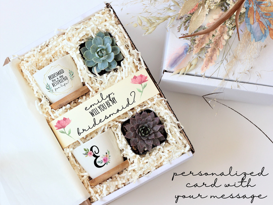 Unique Bridesmaid Proposal Gift Box - Succulent Maid Of Honor Ready To Ship Under 40
