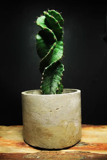 Round Concrete Pot
