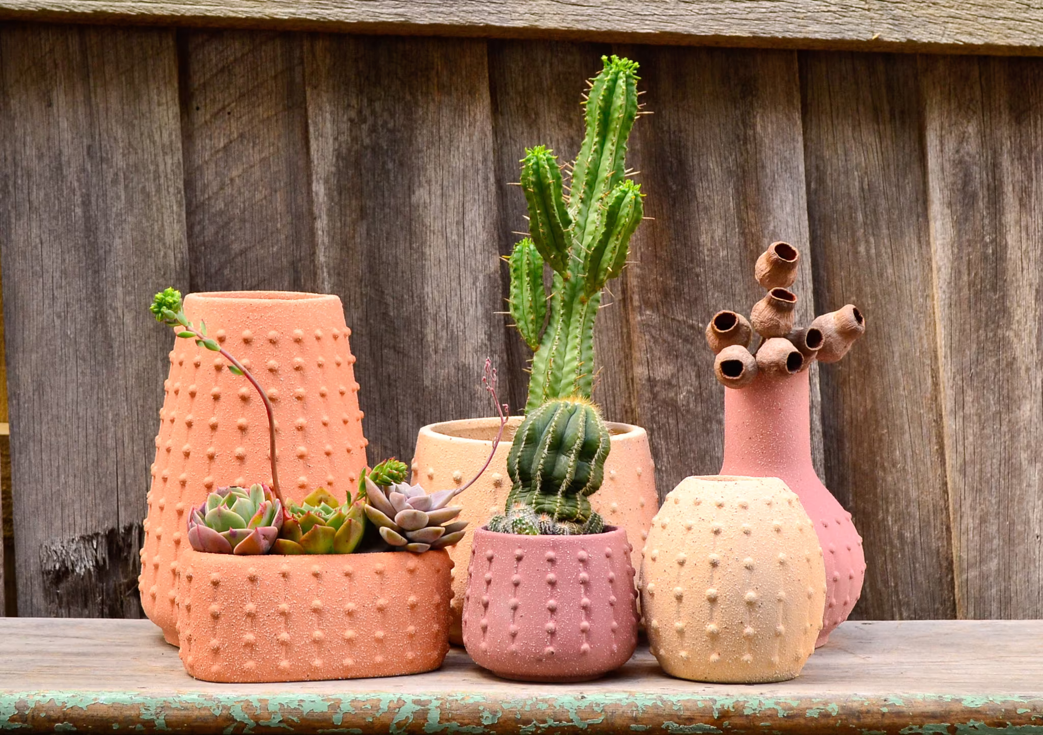 Modern Textured Ceramic Sea Urchin Inspired Pot Planters, Vase & Vessel