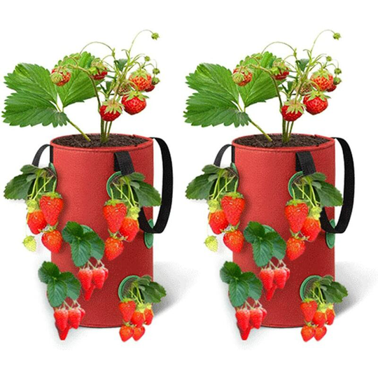 2 Packs Strawberry Grow Bags,23X28 cm Breathable Planter Bag with Side Grow Pockets Handles for Garden Strawberries, Herbs, Flowers, Tomatoes (red)