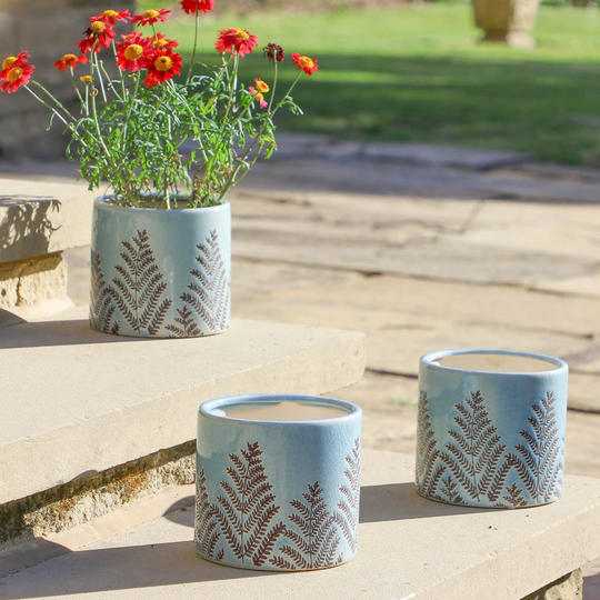 Set Of Three Ceramic Fern Plant Pots