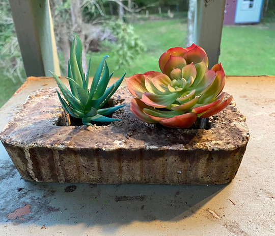 Hypertufa Trough Twin Succulent Planter