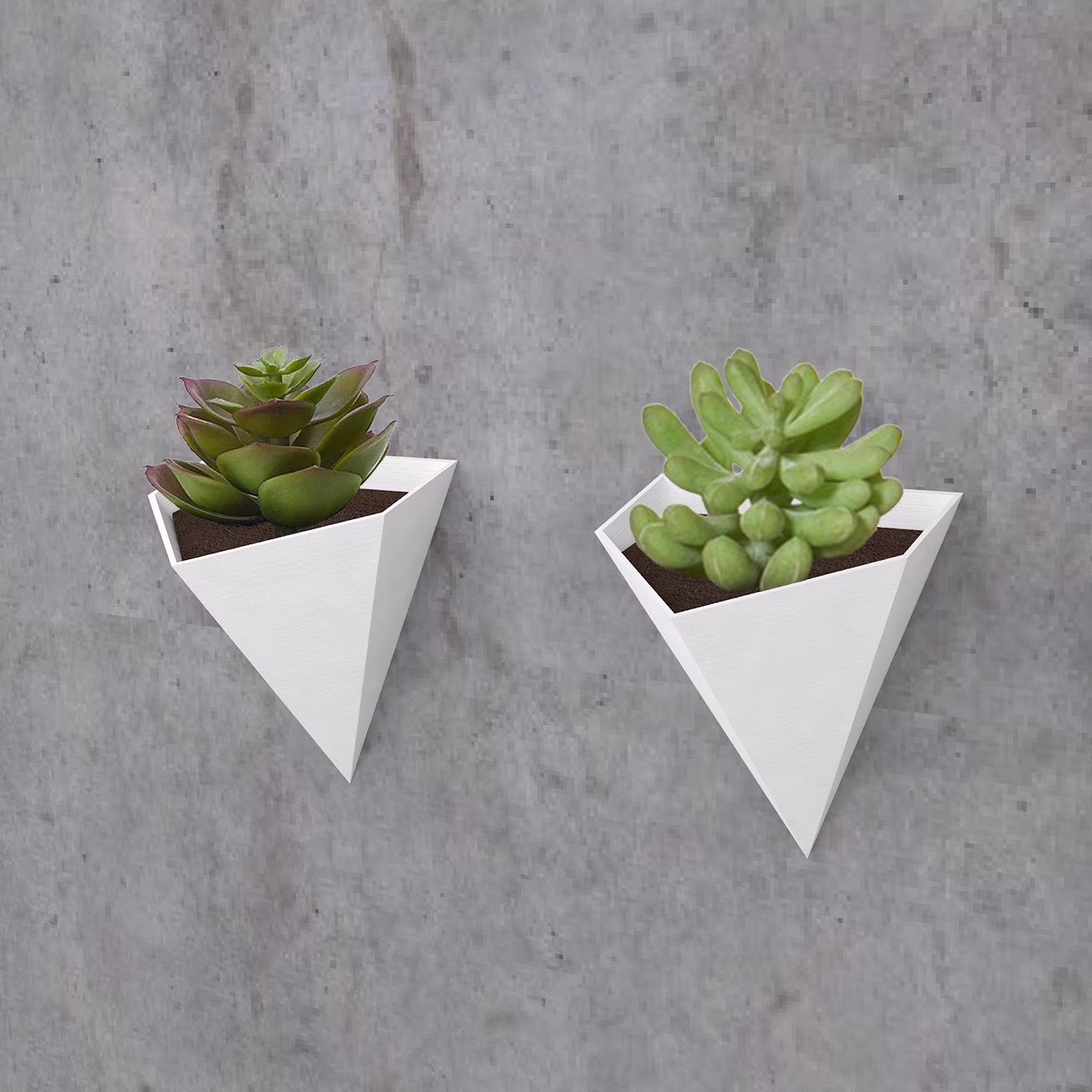 Short Triangular Wall Planter, Ideal For Succulents, & Other House Plants, Modern Decorative, Light Weight, 3D Printed [Made in Canada]