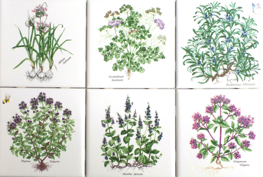 Botanical Herb Ceramic Tiles Set 6/4.25