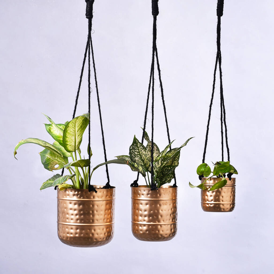 Light Weight Hammered Hanging Planters Golden Finish