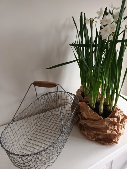 Vintage French Wire Basket Oyster
