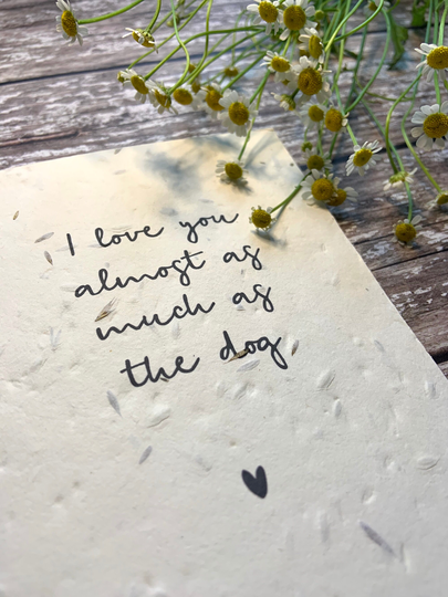 Valentine's Seed Card, Zero Waste Card