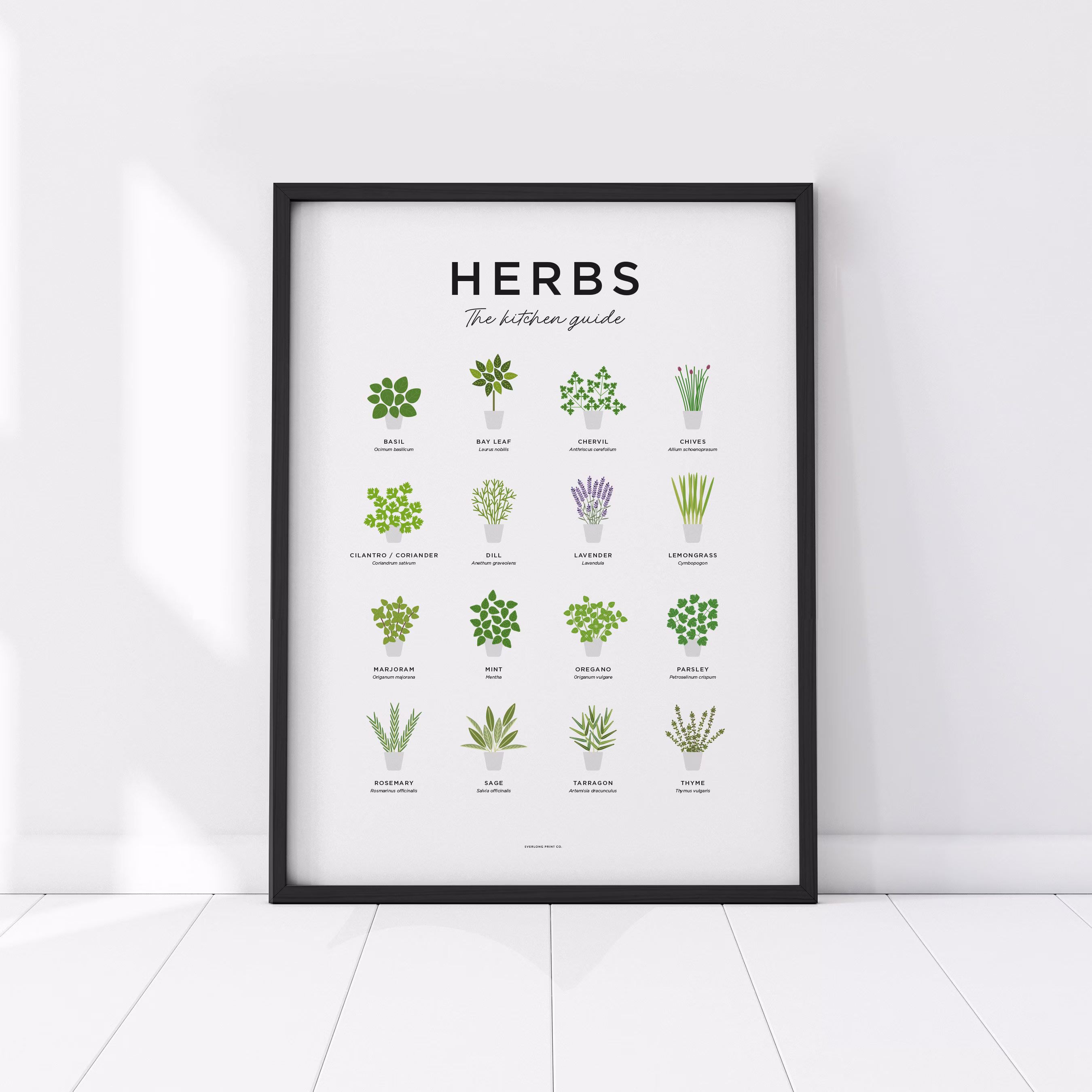 Herb Print, Fresh Culinary Herbs, Kitchen Wall Art, Herbs Guide Prints, Poster, Botanical Garden