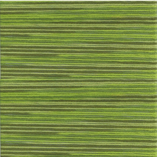 Cosmo Seasons Variegated Green #5014 Embroidery Floss 5000 Series