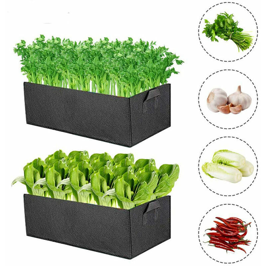 Echoo - Plant Grow Bag, Non-Woven Fabric Planting Bags with Handles, Breathable and Durable Pots for Potatoes, Strawberries, Flowers and Garden