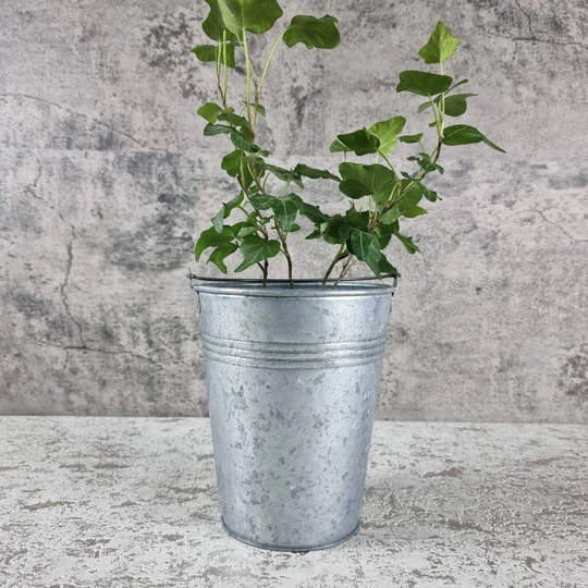 Galvanised Bucket Planter Garden Container. Herbs/Plants Flower