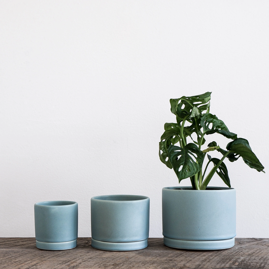 Tabletop Planter With Tray in Siren Blue