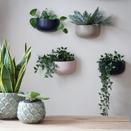 Colourful Ceramic