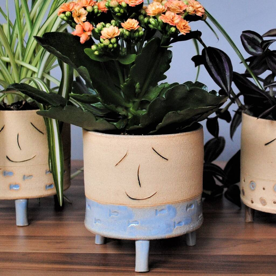 Personalised Smiley Planter Blue Strip Fish