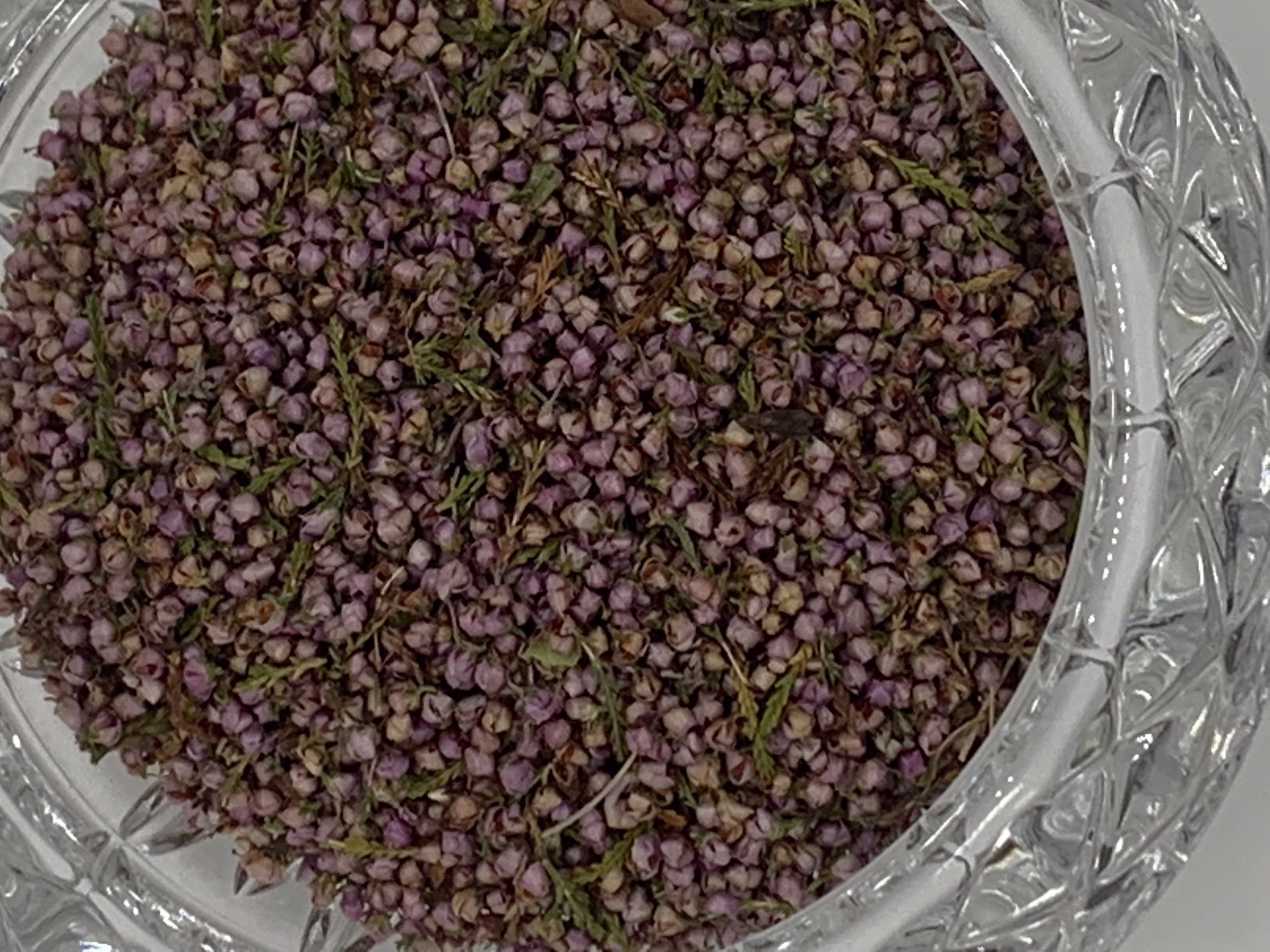 Heather Flowers | Calluna Vulgaris