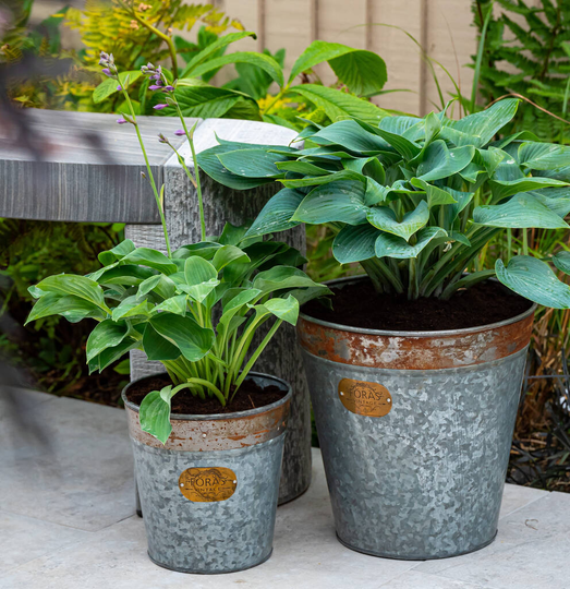 Keswick Zinc Vintage Plant Pot Set Of Two