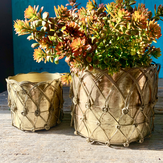 Two Brass Caged Planters Ltzkr028