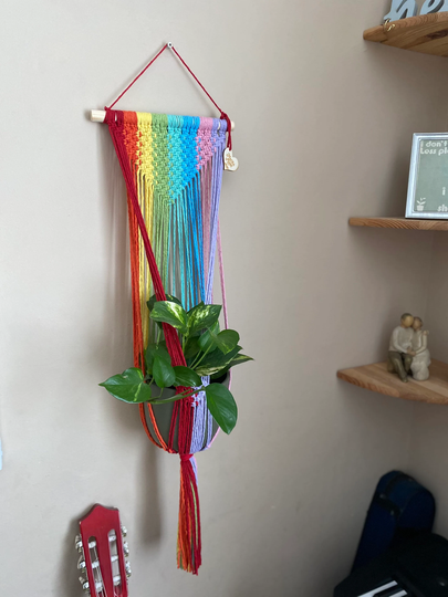 Macrame Rainbow Plant Hanger, Indoor Pot Holder, Bold Bright Wall Art, Eco Friendly Gifts, Gift For Lover, Fun Home Decor