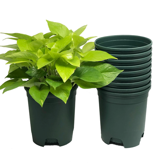 10-Pack 1 Gallon Nursery Pot Liners Plastic Planters For Outdoor Indoor Plants Gardening Flower Pots 6 Inch Wide With Drainage Holes