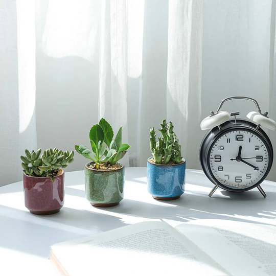Pack Of Six Multi Coloured Ceramic Planters