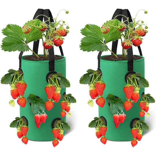 2 Packs Strawberry Grow Bags,28X33 cm Breathable Planter Bag with Side Grow Pockets Handles for Garden Strawberries, Herbs, Flowers, Tomatoes (green)