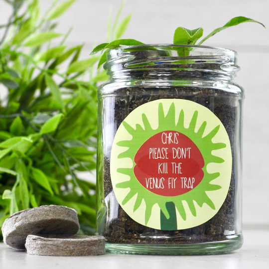 Personalised Don't Kill Me Venus Fly Trap Jar Grow Kit