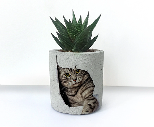 Cat Printed Concrete Planter, Unique Gift, Cactus Holder, Succulent Pots, Air Plant Lovers Gifts, Gift For Him, Planters