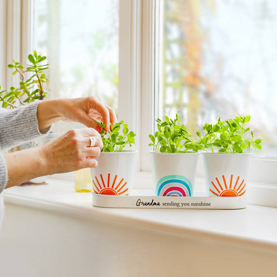 Personalised Rainbow Indoor Herb Planter