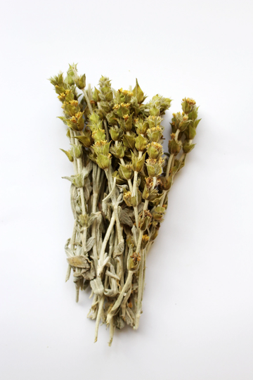 Greek Mountain Tea 40G - Sideritis 100% Natural Premium Quality Greek Mountain Tea Herbal
