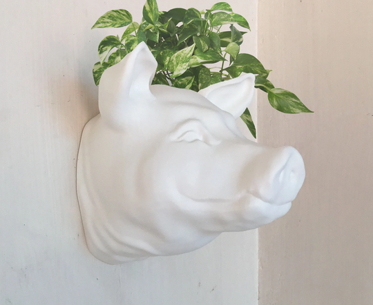 Pig Head Planter, Piggy Wallmount Planter, Handmade Planter , Home & Living, Outdoor & Gardening, Planters Pots, Indoor Planters