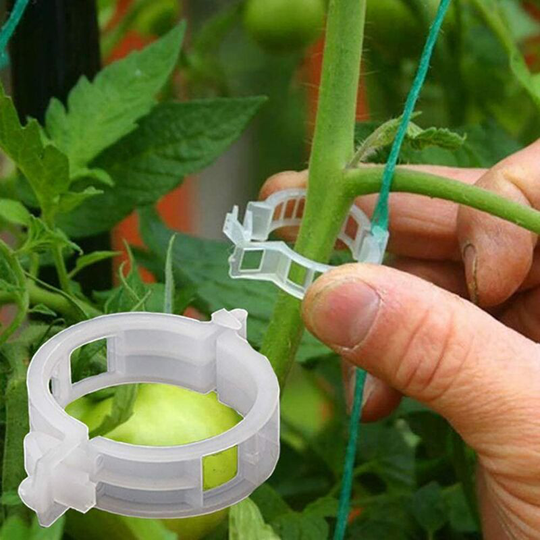 Aougo - 100 Pack Garden Plant Clips, for Tying Plants Twine Vine Trellis Cages Vine Vegetable Grafting Tools for Growing Healthier Straight