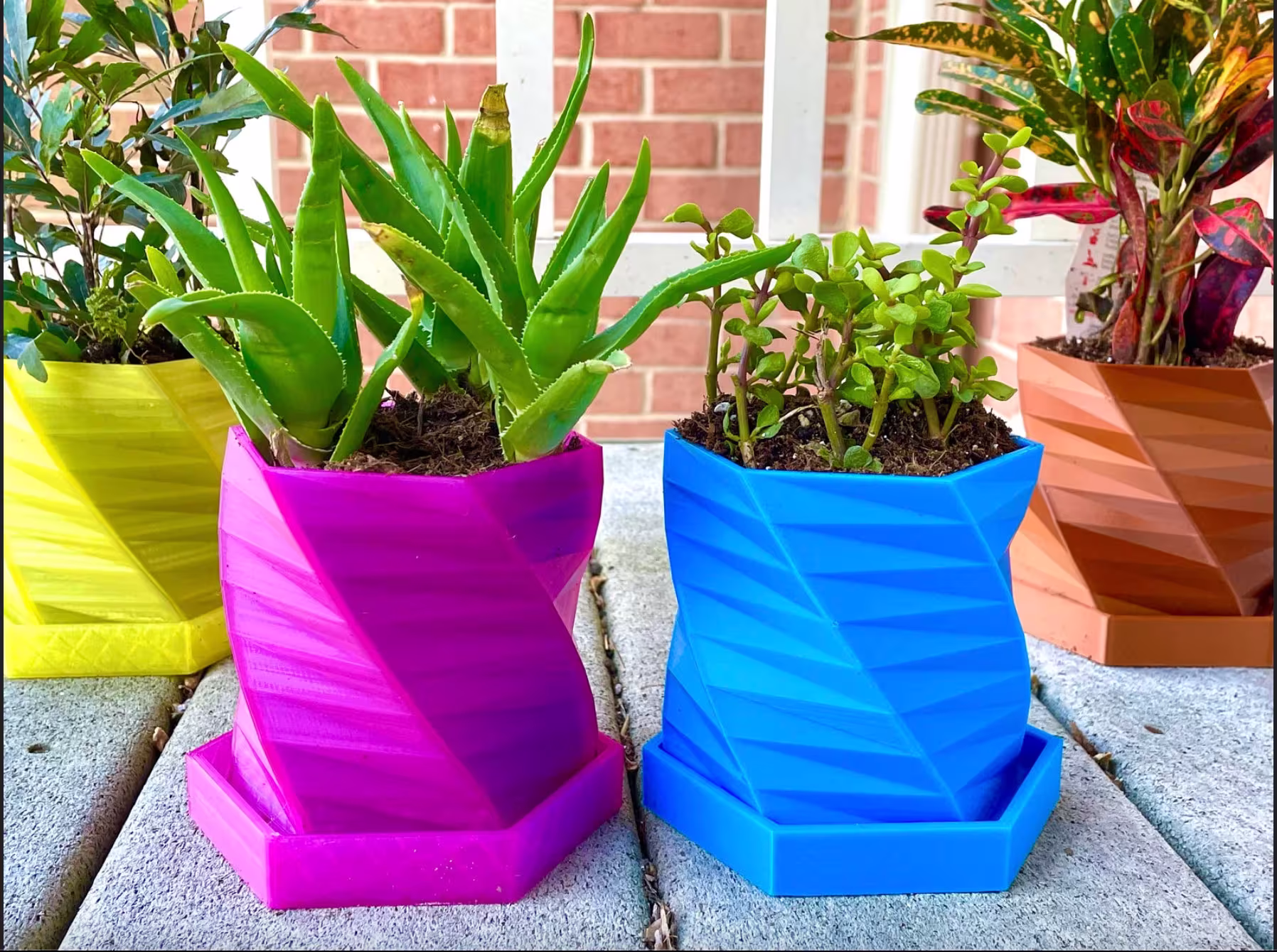 Geometric Planter Pot With Drainage Holes + Drip Tray/3D Printed Plant