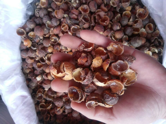 500G Organic Dried Soapberry Shell, Wu Huan Zi Ke