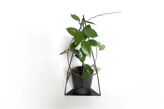 Greenery Plant Hanger - Plant Stand Hanger, Geometric Hanging Or Standing Planter Holder "'brilliant'' From