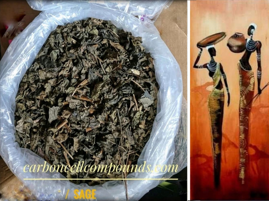 Sage Leaves | Origin. Caribbean Mountains Free Shipping