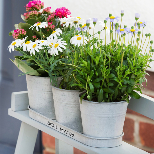Metal Message Planters - 10Th Anniversary Gift Personalised Planter Tin Indoor Tenth Couple