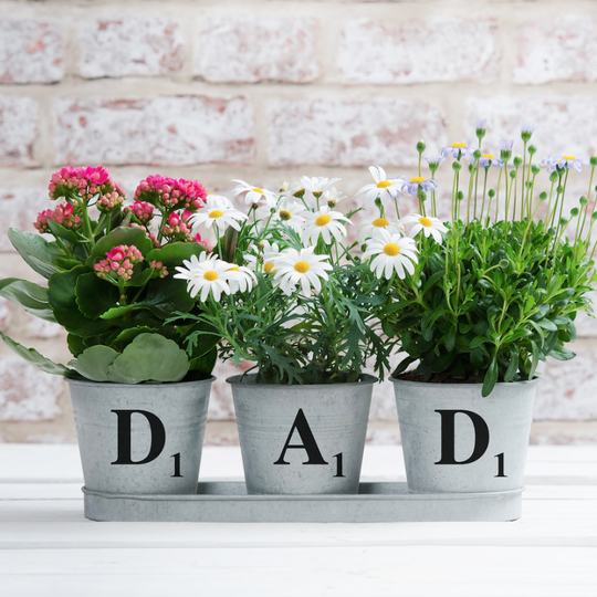 Three Personalised Planters In A Tray