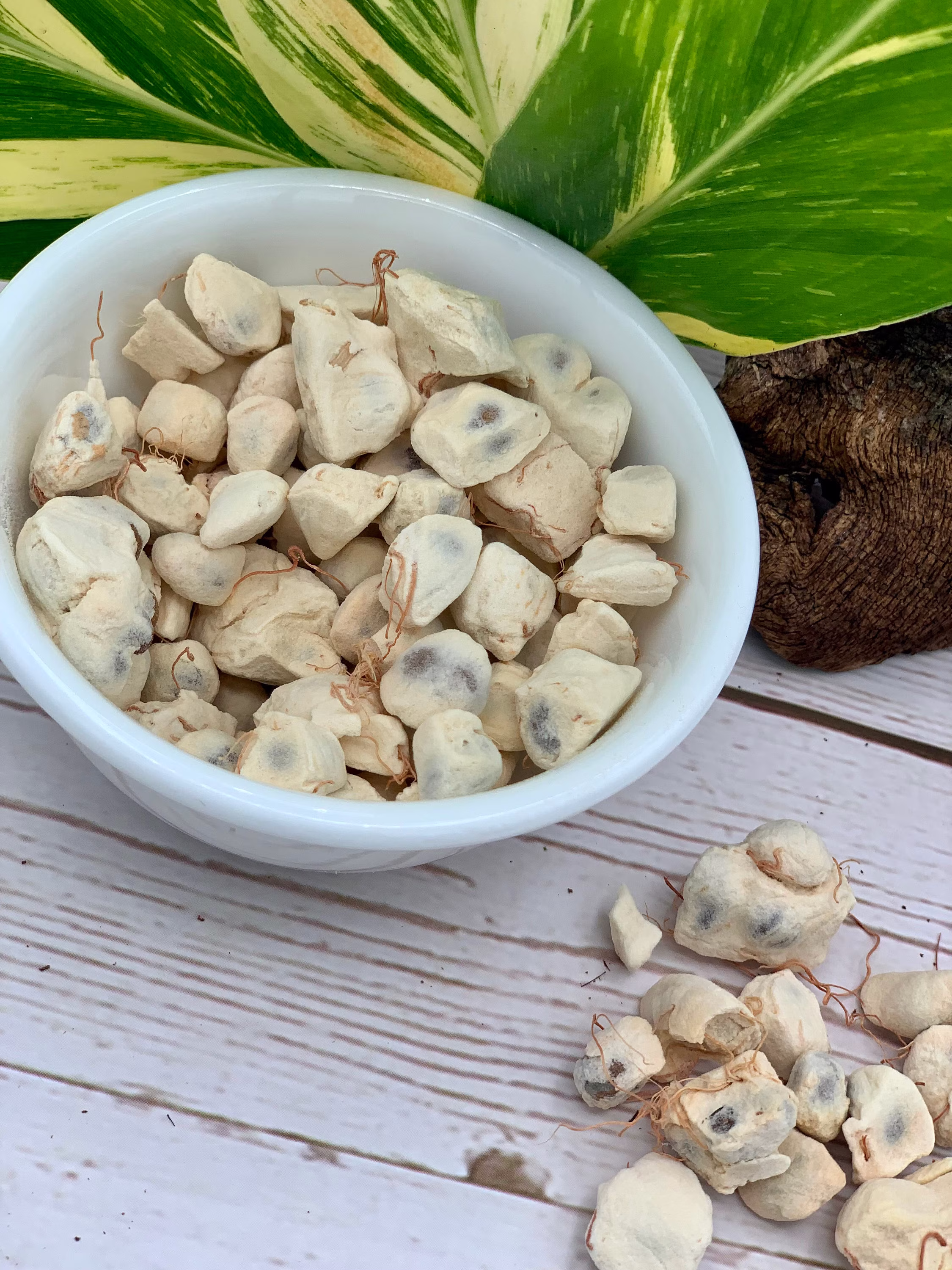 Baobab Fruit - Seeds Adansonia Digitata Tree Of Life Superfood