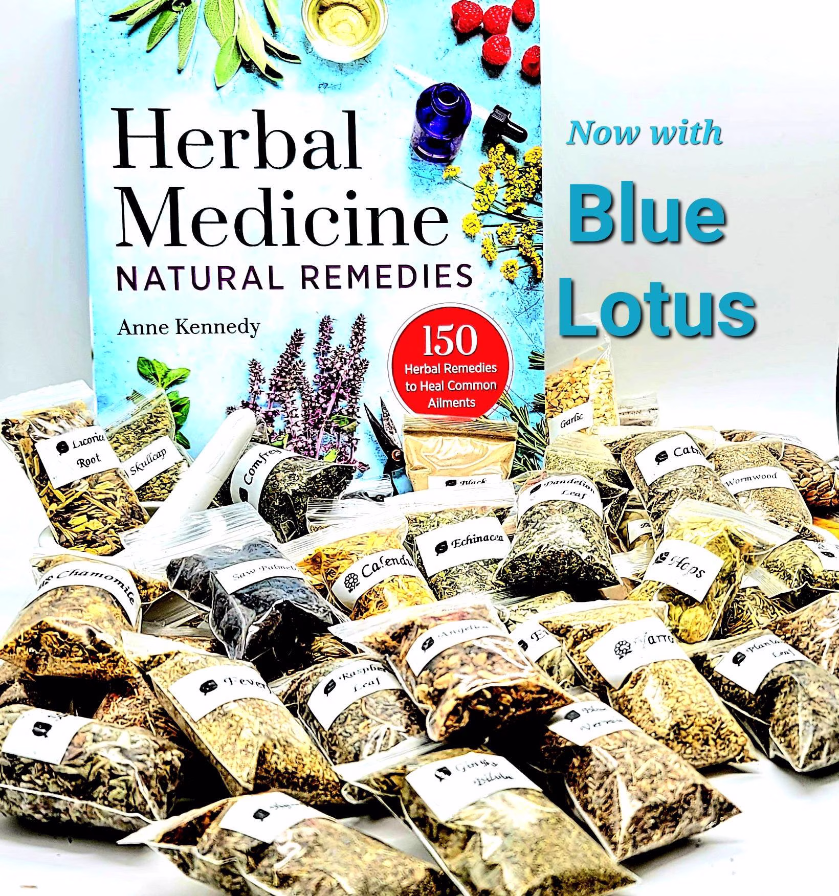Beginners Kit For Making Herbal Remedies 60 Herbs With Mortar & Guide Book